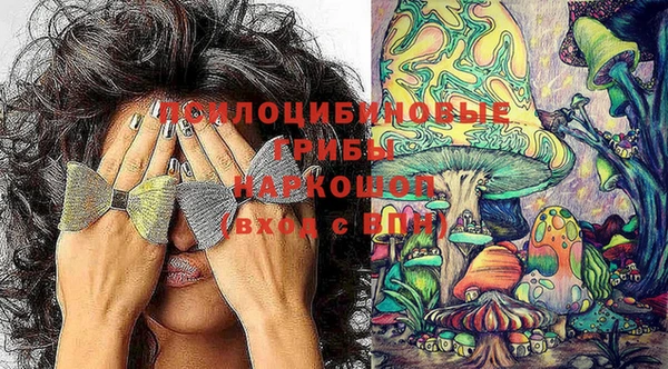 твердый Балахна