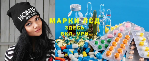 мяу мяу мука Баксан