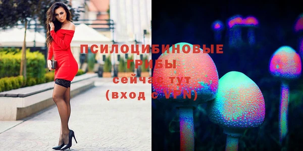 мяу мяу мука Баксан