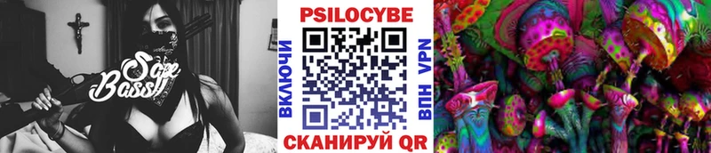 купить  сайты  Николаевск-на-Амуре  Псилоцибиновые грибы Magic Shrooms 
